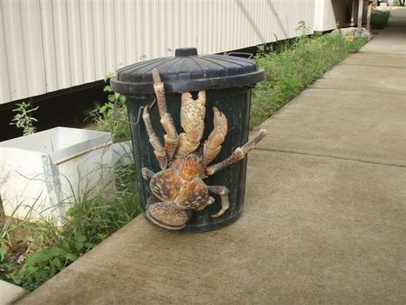 coconut_crab.jpg