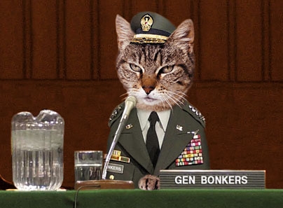 generalbonkers.jpg