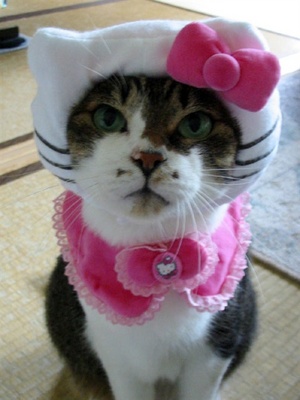 sad-hello-kitty.jpg