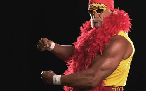 hulk-hogan-hulkamania.jpg