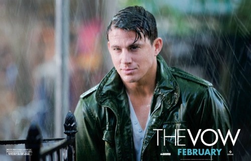The-Vow-still.jpg