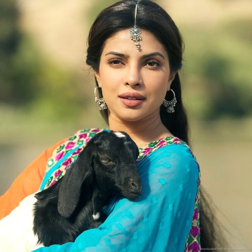 priyanka-chopra-with-a-baby-goat.jpg