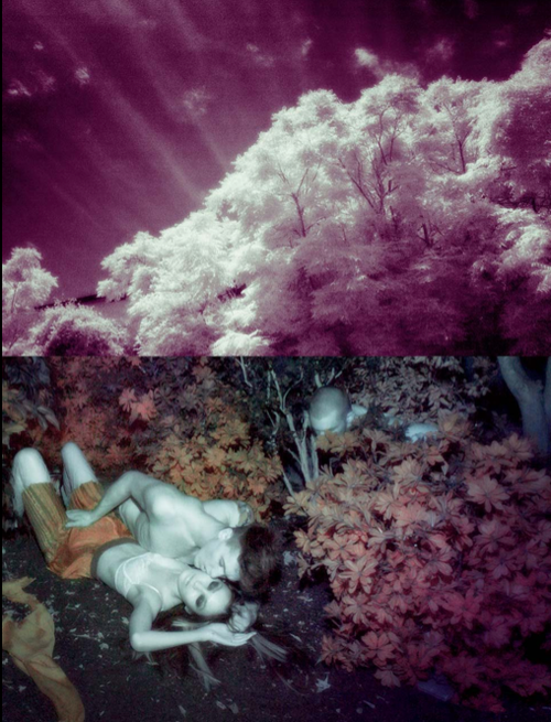 Screen Shot 2013-03-29 at 7.57.51 AM.png