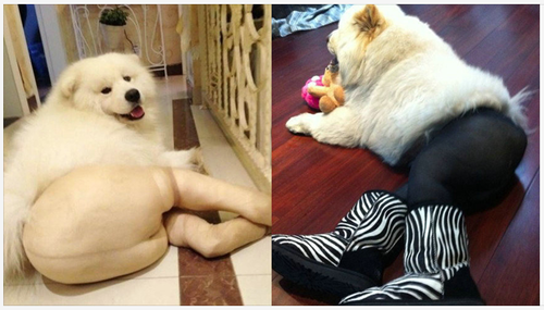 Screen Shot 2013-04-05 at 12.50.21 PM.png