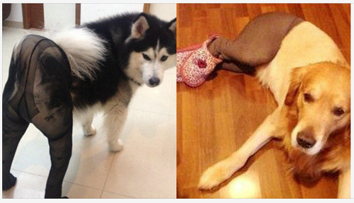 Screen Shot 2013-04-05 at 12.50.36 PM.png