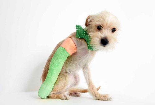 Screen Shot 2013-06-04 at 9.53.12 PM.png