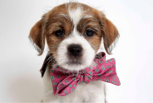 Screen Shot 2013-06-04 at 9.53.29 PM.png