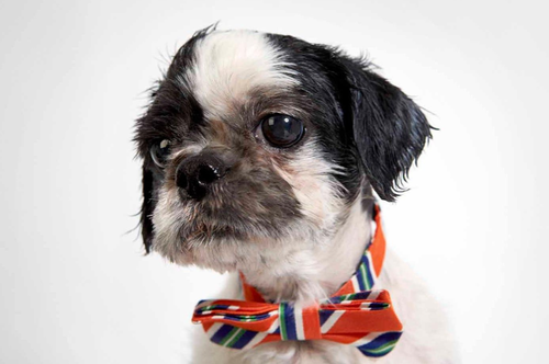 Screen Shot 2013-06-04 at 9.53.46 PM.png