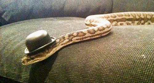 Screen Shot 2013-11-26 at 9.55.34 AM.png