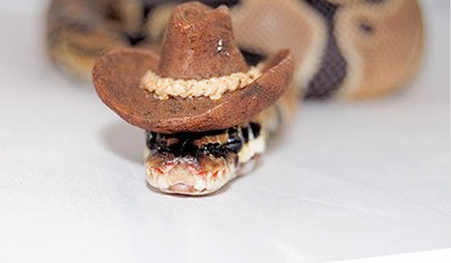 Screen Shot 2013-11-26 at 9.55.49 AM.png