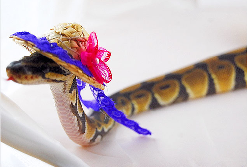 Screen Shot 2013-11-26 at 9.56.01 AM.png