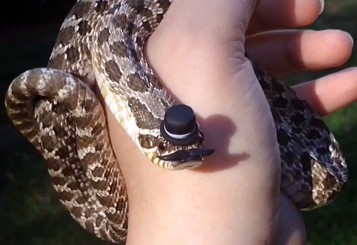 Screen Shot 2013-11-26 at 9.56.15 AM.png