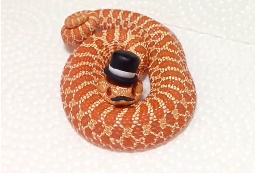 Screen Shot 2013-11-26 at 9.56.26 AM.png