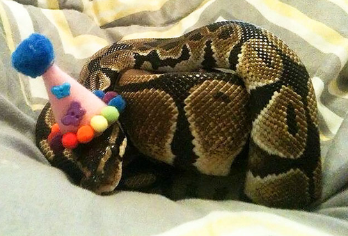 Screen Shot 2013-11-26 at 9.56.39 AM.png