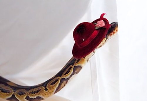 Screen Shot 2013-11-26 at 9.56.47 AM.png