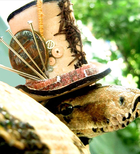 Screen Shot 2013-11-26 at 9.57.12 AM.png