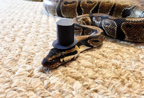 Screen Shot 2013-11-26 at 9.57.23 AM.png