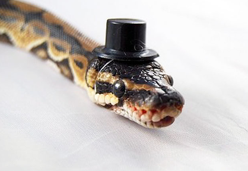 Screen Shot 2013-11-26 at 9.57.35 AM.png