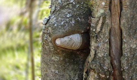 Screen Shot 2014-04-15 at 11.17.45 AM.png