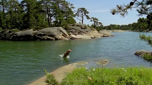 Inga Lindström Millionaere kuesst man nicht[(112487)02-24-07].JPG