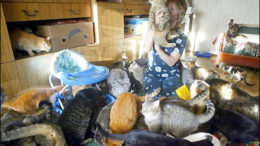 ukraine-cat-lady-thumb.jpg