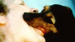 dog-kiss-thumb.jpg