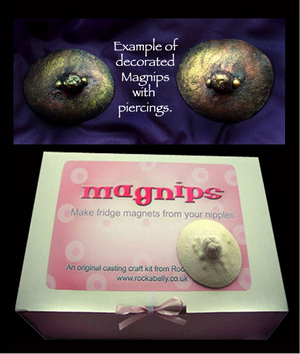 OMG, how ingenious: Magnips - OMG.BLOG