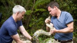 anderson-cooper-jeff-corwin-snake-thumb.jpg
