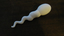 sperm-drive-1-thumb.jpg