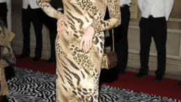 carmen-dell-orefice-met-ball-2009.jpg