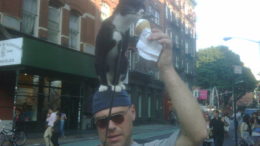 cat-ice-cream-new-york-thumb-450x337-9.jpg