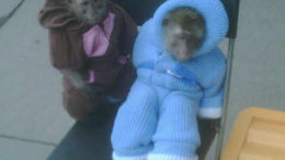 russian-monkeys-jumpsuits.jpg