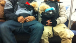 dogs-backpacks-subway-nyc-thumb-500x670-4968.png