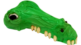 alligator_image_1274-thumb-500x350-9612.png