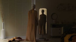 goodnight-mommy-radius-trailer2-thumb-500x212-23555.jpg