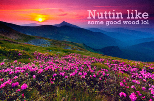 enhanced-buzz-wide-22626-1400172124-15