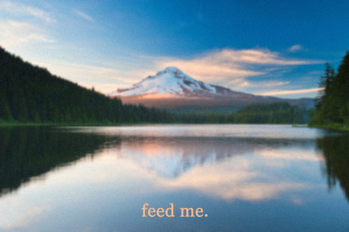 enhanced-buzz-wide-24922-1400172156-19