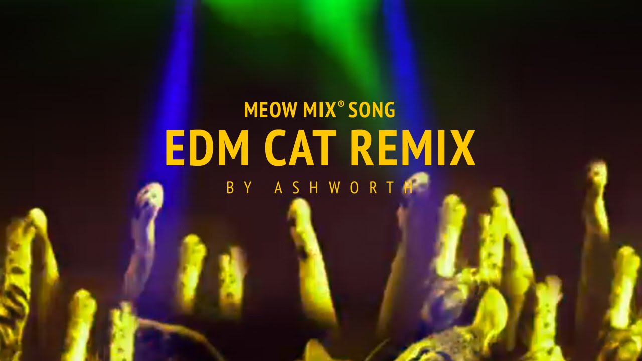 omg-just-try-to-not-stab-your-ears-out-it-s-the-meow-mix-edm-remix-omg-blog