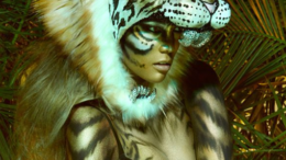 Tyra Banks tiger costume