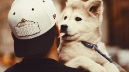 Gus Kenworthy and puppy Beemo
