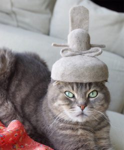 OMG, here are cats wearing Japanese hats made from their own hair - OMG ...