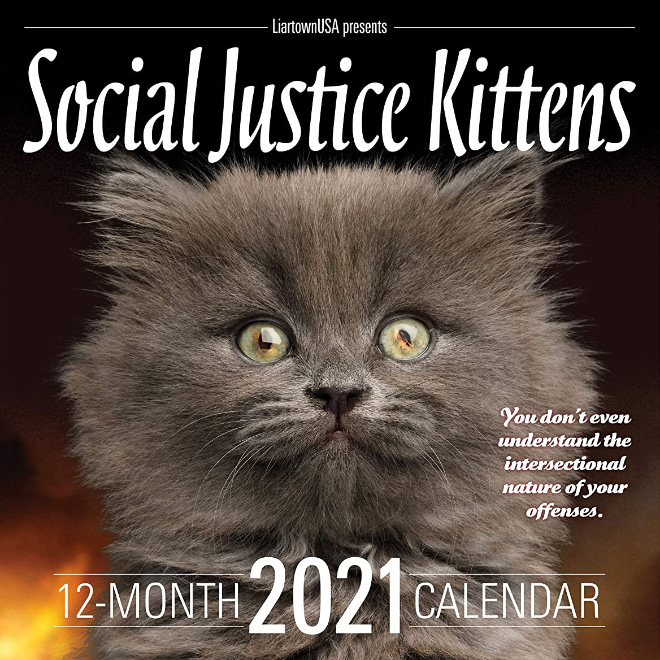 Social Justice Kittens calendar