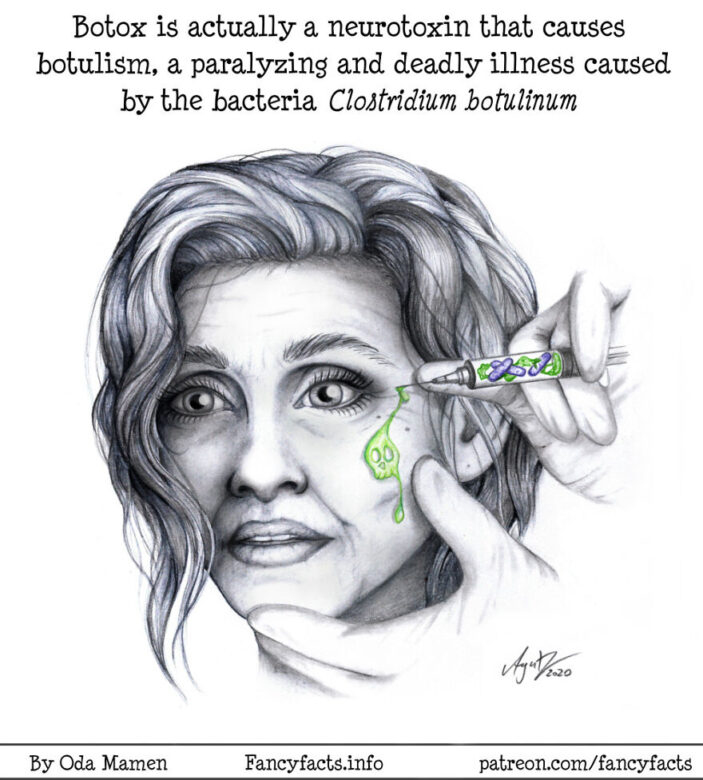 OMG, here are 26 interesting scientific facts illustrated in an