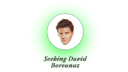 Seeking David Boreanaz