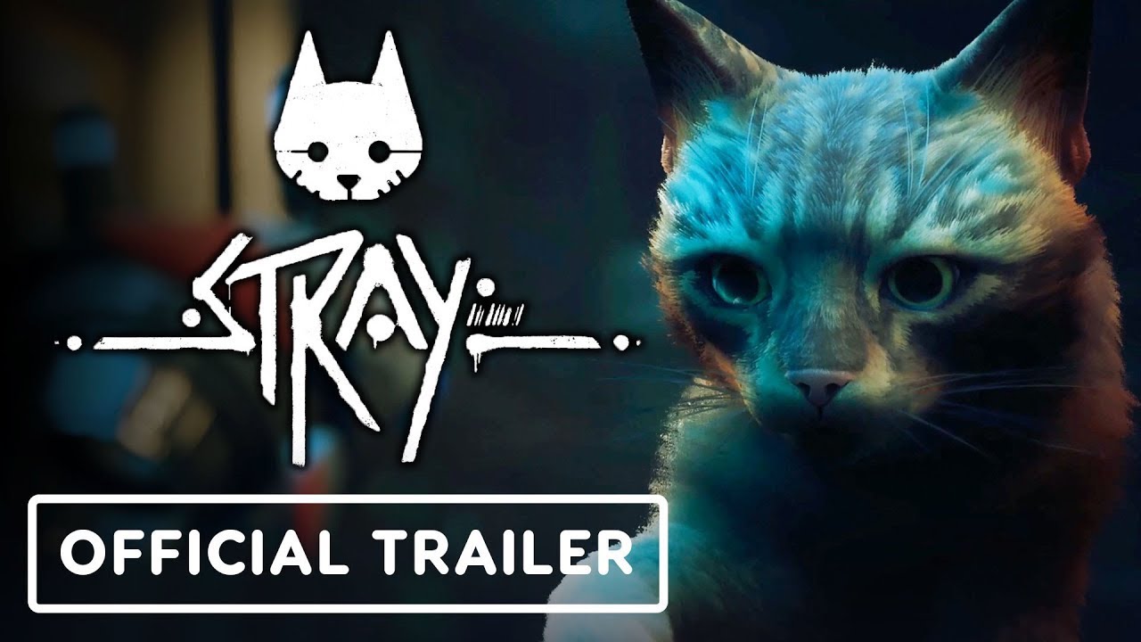 OMG, dystopian Cat video game STRAY shares new gameplay footage | OMG.BLOG