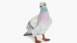 JW Anderson FW22 Pigeon Clutch Bag