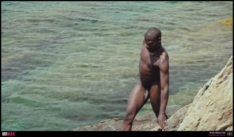 Erwan Kepoa in Carpobrotus