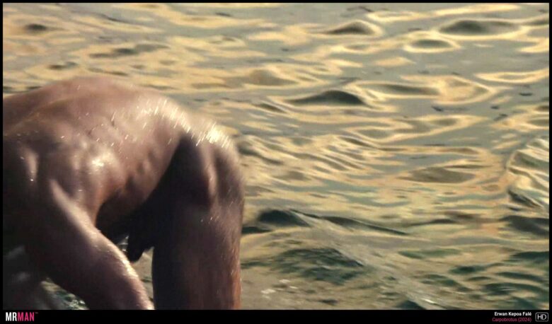 Erwan Kepoa in Carpobrotus